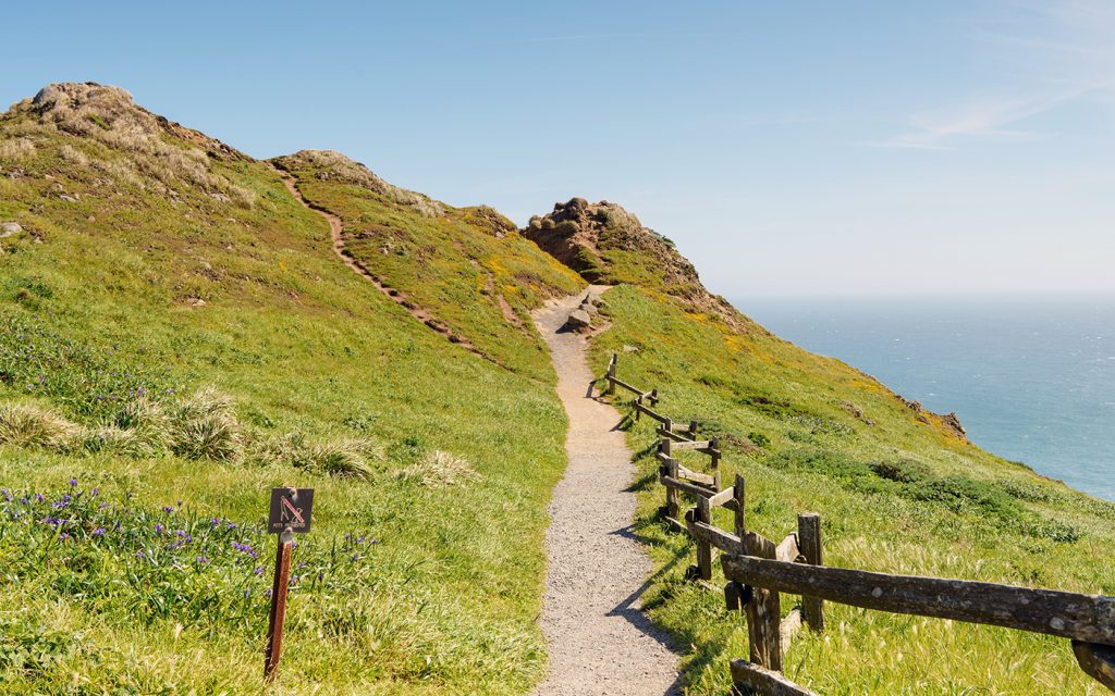 Hiking trail by the sea side at Point Reyes National Seashore Hiking trail by the sea side at Point Reyes National Seashore